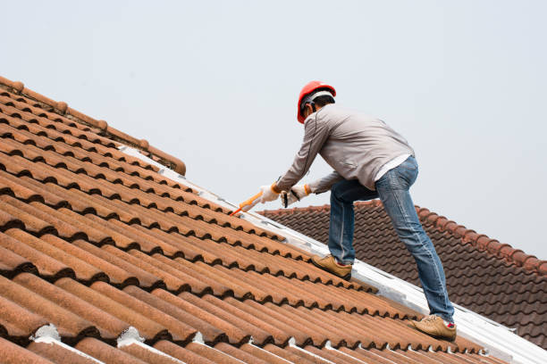 Best Roof Ventilation Installation  in Medina, TX
